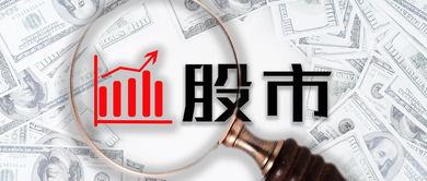 价值投资入门 净资产收益率的解读与运用